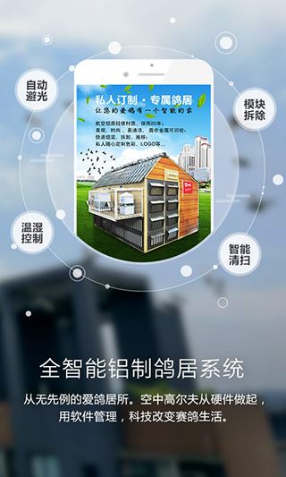 爱鸽者官方版app图片1