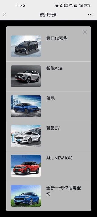 Kia Connect图片10